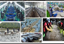 Khánh Hòa ban hành Kế hoạch hành động thực hiện Nghị quyết 68-NQ/TW về phát triển kinh tế tư nhân
